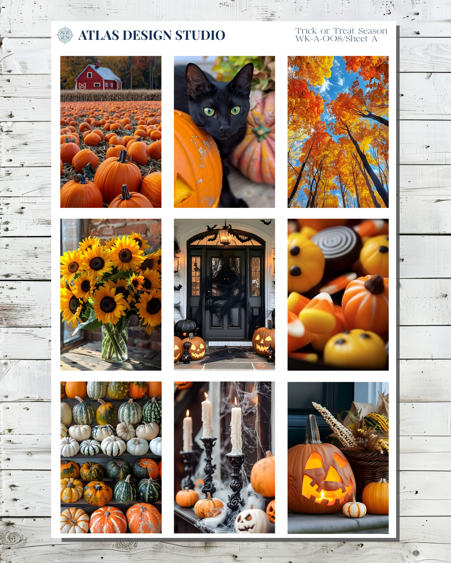 Planner stickers with a collage of Halloween-themed images with pumpkins, sunflowers, and autumn scenery.